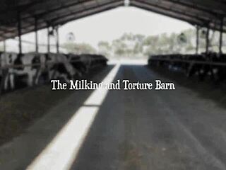 April úrnő, a fekete özvegy, uralkodik kegyetlen titkos dungeonjában