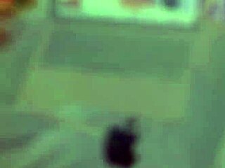 Sirenita fuentes and helena danae lesbian dildo scene