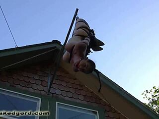 عبدة معلقة بكمامة، عايز تشوف كيف تستسلم؟