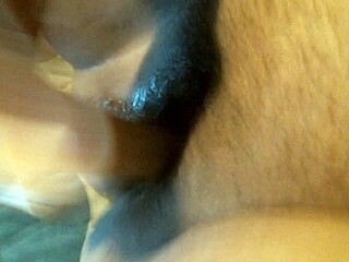 onyxcoffin indulges in dildo masturbation and anal assfucking as a fat bbw