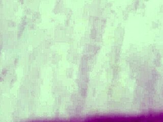 vivi guedez made adult film without husband knowing