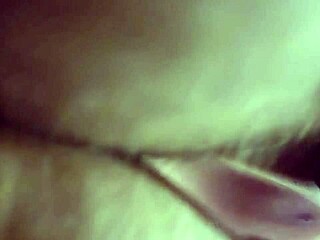 Brazilian Amateur Couple Assfucks Naughty Little 18+ Aunt