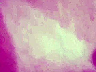 vivi guedez made adult film without husband knowing