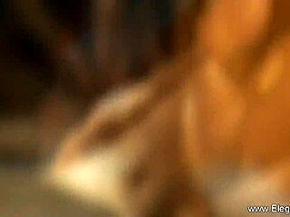 Miluju, jak tahle asijská horká dává erotické interracial instrukce k felaci