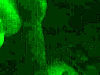 Sloppy blowjob and facial from Petite amateur wife