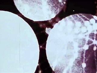 Vintage Interracial Taboo Cock Action