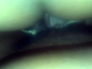 3some with my white tranny bitch and big black cock