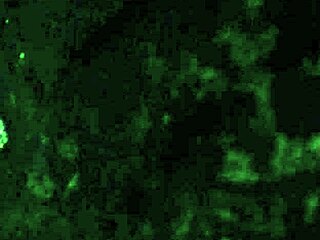 My Wife's Sexy Juicy Fat Thick Ass Gets Worshipped in Homemade Video