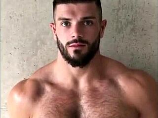 Muscle A-Go-Go 1: Personal Trainer