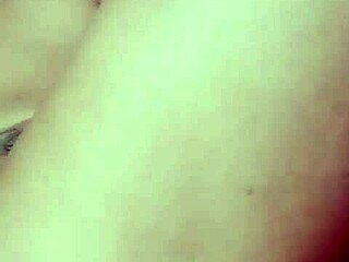 Beautiful Tango Friend Enjoys Dancing With Toys