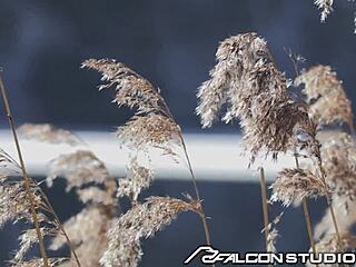 Colton's Girthy Cock Pounds Dmitry's Ass