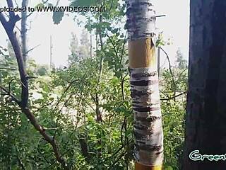 quick blow job in the woods behind the parking lot