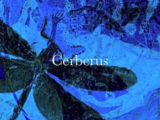 Vintage Dragonfly Blowjob with Hairy Monster