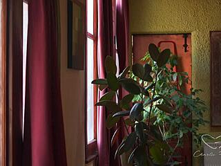 this australian blonde teases solo, fingering her ass in afternoon delight.