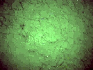 quick grindr hookup with horny twink