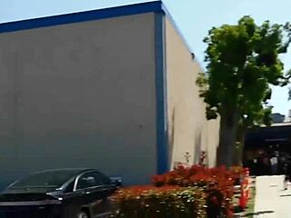 Las Vegas news covers the postal cosa nostra vs furry potato affair