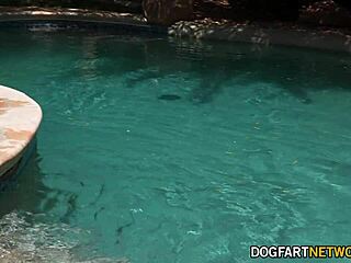 yo, cute jock takes huge bbc hard in interracial fuck, watch him cumshot