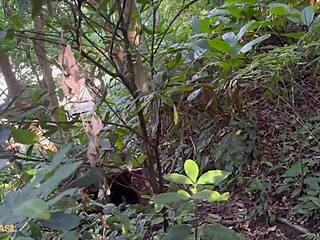 levei na maldade with gay big ass black monster cock blowjob and twink ass action