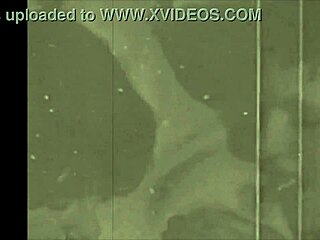 My Secret Life Vintage Bisexual Taboo. Four-Way Lesbian Action With Hairy Beavers.