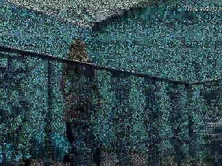 Peladona do BBB: The Hottest Star on the Web