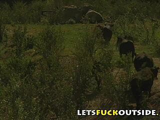 Cute Brunette With Big Boobs Fucked Publicly Outside