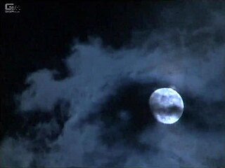 يوم عادي نشوف قهر البطلة في جحيم الجوع المتوحش الهينتاي