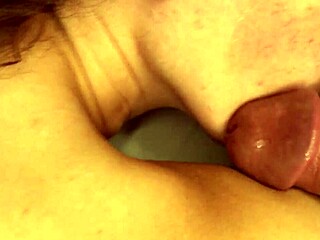 น้องสาวต่างพ่อแม่หลับหลังปาร์ตี้ เย็ดแบบลับๆ