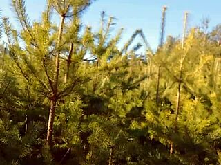 hot milf pulls panties up full of cum