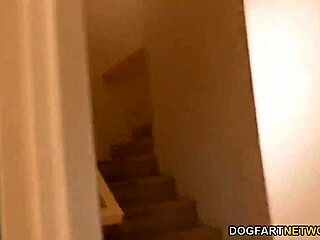 헤일리 리드가 거대한 흑인 자지한테 강하게 박혀, 뜨거운 세션