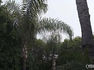 I pack her ass on moving day