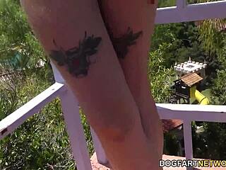 haley reed experiences intense pounding from a huge black cock in this steamy session