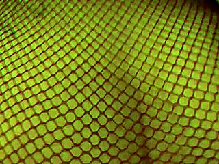 Alessa Savage - Sexy Alt Chick Is Up For Anything Edited