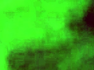 Gorgeous Colombian Girlfriend Enjoys Relaxation And Fun Moments.