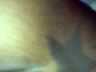 Beautiful Ebony Babe Twerks Her Big Ass On Cock.