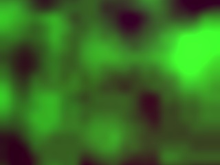 Learning to Give a Perfect Blowjob on a Quiet Afternoon