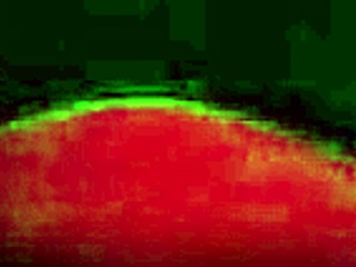 My friend slides it in slowly, doesn't he?