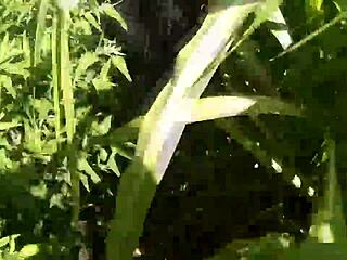 She Makes Me Cuckold On Beach With Guys