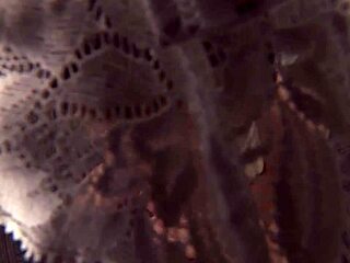 Pretty Asian woman gets a deep kiss and piss on her smooth pussy