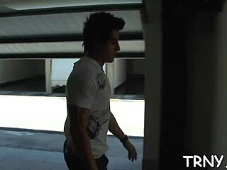 Transgender Video Tubes