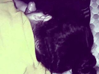 bbw latina amateur gives chubby blowjob in panties, sucking fat cock and ass 😍