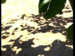 My Wife Pees Long On The African Beach