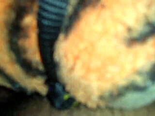 I’m just chilling, playing with my toy for some solo fun today