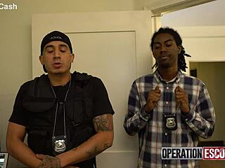 thinking about escorting, feeling torn, pimps don't care but we do, part 2