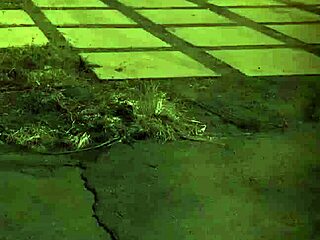 old man beard dominant style