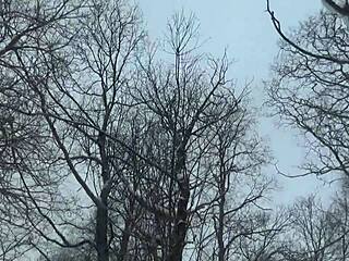 hot student sucks professor big dick after ski lesson, getting wet and assfucked