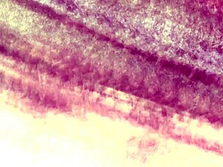 Two adorable teen lesbians finger and masturbate with toys. In a group scene.