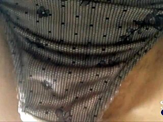 amateur sluts panty fucking pov