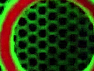 Suck That Big Cock, Vicky Vette!