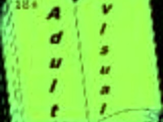 academy 208 hentai game vibes, anime style fun