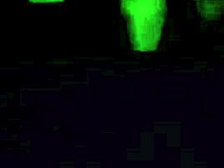 Watch Amber Crider, that fat slut, sucking my dick like a pro